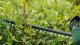 Bosch Universal HedgeCut 18V-50 #5