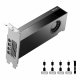 PNY NVIDIA RTX 2000 Ada Generation #2