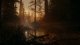 Remedy Entertainment Alan Wake 2 Deluxe Edition #5