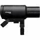 Profoto Pro-D3 1250