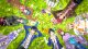 Nintendo Tokyo Mirage Sessions #FE Encore #7