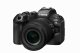 Canon EOS R6 Mark III + RF 24-105mm F4-7.1 IS STM #3