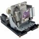 MicroLamp ML12506