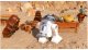 Warner Bros LEGO Star Wars: The Skywalker Saga, Xbox One #7