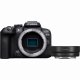 Canon EOS R10 + RF-S 18-45mm F4.5-6.3 IS STM + EF-EOS R #6