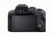 Canon EOS R10 + RF-S 18-45mm F4.5-6.3 IS STM + EF-EOS R #7
