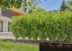 Gardena 13500-20 #4