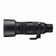 Sigma 60-600mm F4.5-6.3 DG DN OS #7