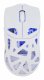 White Shark DAGONET