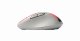 Rapoo M500 Silent #6