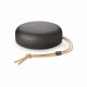 Bang & Olufsen BeoSound A1 3rd Gen