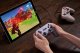8Bitdo Pro 2 #10
