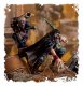 Games Workshop Sanctus #4