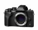 Olympus OM-D E-M10 Mark IV #2