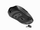 GENESIS Zircon 500 #2