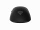GENESIS Zircon 500 #11