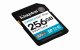 Kingston Technology Canvas Go! Plus #2