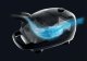 Hoover HE210H 011 #9