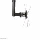 Newstar FPMA-C060BLACK #5