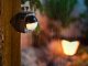Philips by Signify 8718699625474 #4