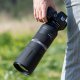 Canon RF 800mm F11 IS STM #11