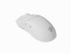 GENESIS Zircon 500 #9