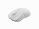 GENESIS Zircon 500 #8