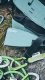 Edelrid Sendero #8