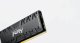 Kingston Technology FURY Renegade #20