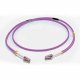 CablesToGo 2m LC/LC OM4 LSZH Fibre Patch - Purple