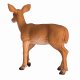 Mojo Fun White Tailed Deer Doe #5