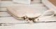 Golla Air Wristlet #4