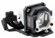 MicroLamp ML10504