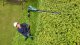Bosch UniversalHedgePole 18 #4