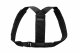 Swedish Posture 0301B1