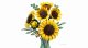 Lego Botanicals 11502 #3