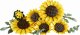 Lego Botanicals 11502 #2