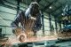 Metabo WEV 15-125 Quick #2