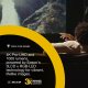 Epson Lifestudio Flex Special Lux Edition #8