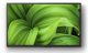 Sony FWD-32W8001 #2
