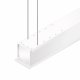 Projecta Tensioned Descender Large Electrol #4