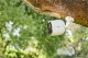 Arlo Essential #11