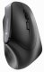 Cherry MW 4500 Wireless 45 Degree Mouse, Black, USB