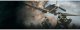 Microsoft Battlefield 2042 #2