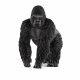 Schleich WILD LIFE 14770