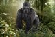 Schleich WILD LIFE 14770 #2