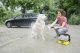 Karcher OC 3 Pet #2