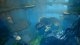 THQ Nordic Biomutant #9