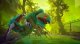 THQ Nordic Biomutant #4