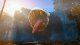 THQ Nordic Biomutant #13